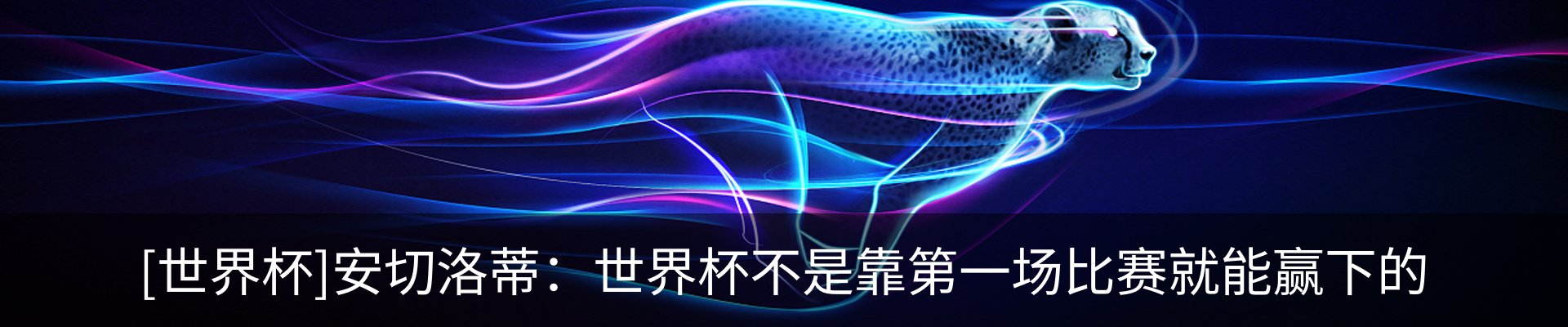 最新动态
